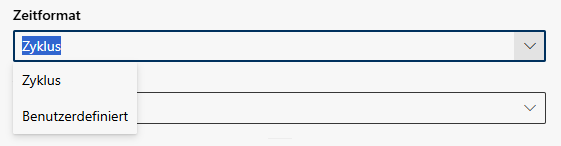 Bericht erstellen - Zeitformat